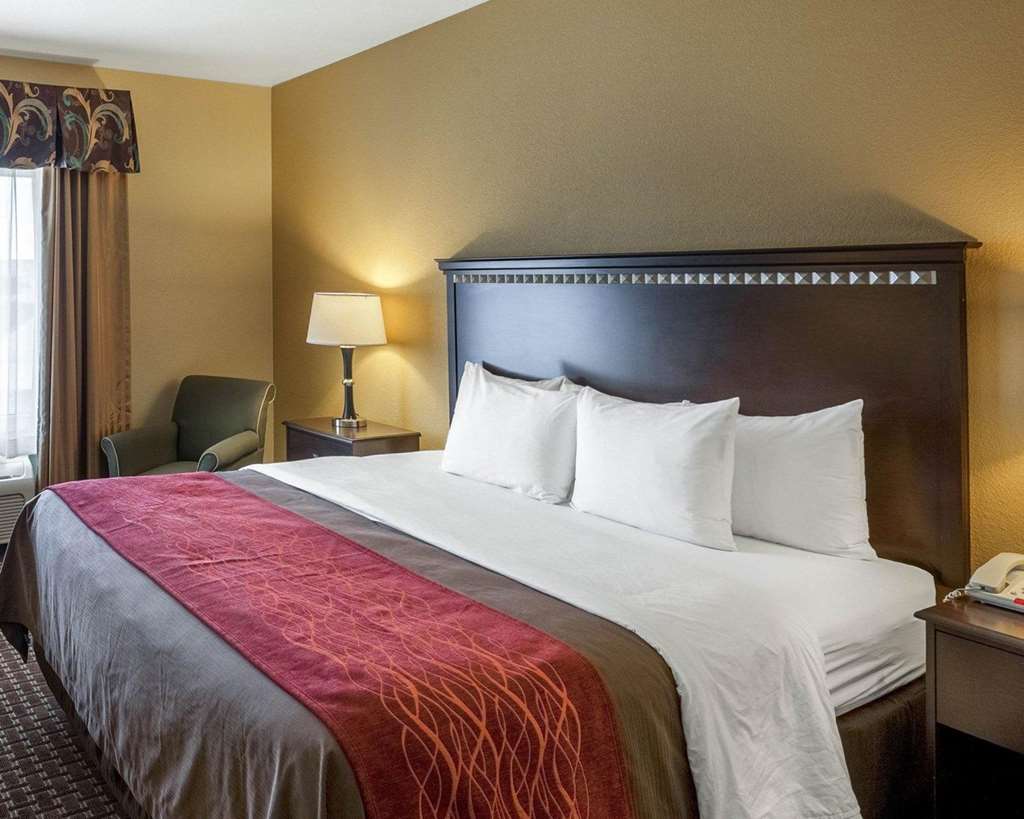 Comfort Inn & Suites Regional Medical Center - photo 19