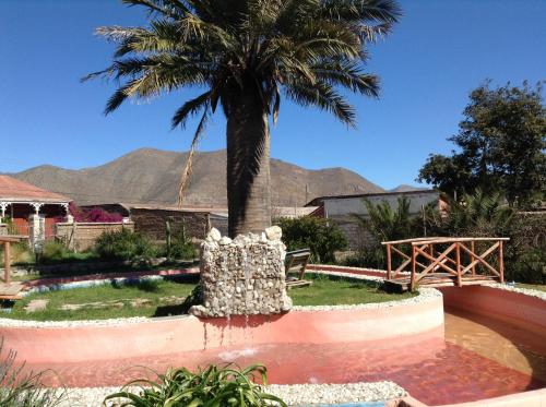 Hostal Aldea del Elqui — Vicuna — photo 4
