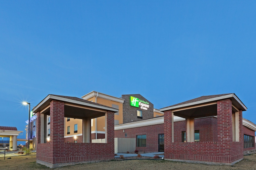 Holiday Inn Express Hotel & Suites Brownfield by IHG - photo 41