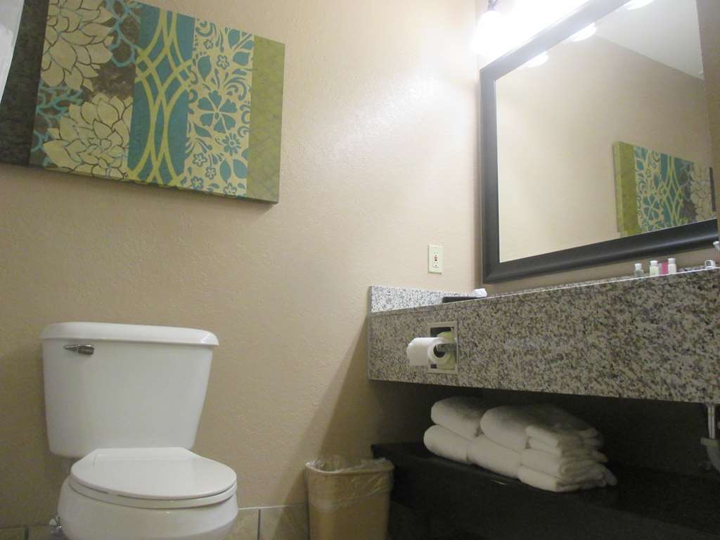 Best Western Plus Menomonie Inn & Suites - photo 31