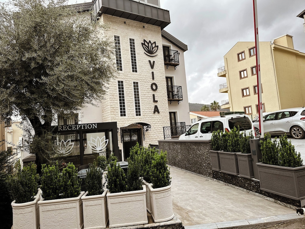 Viola Hotel Budva — Budva — photo 2