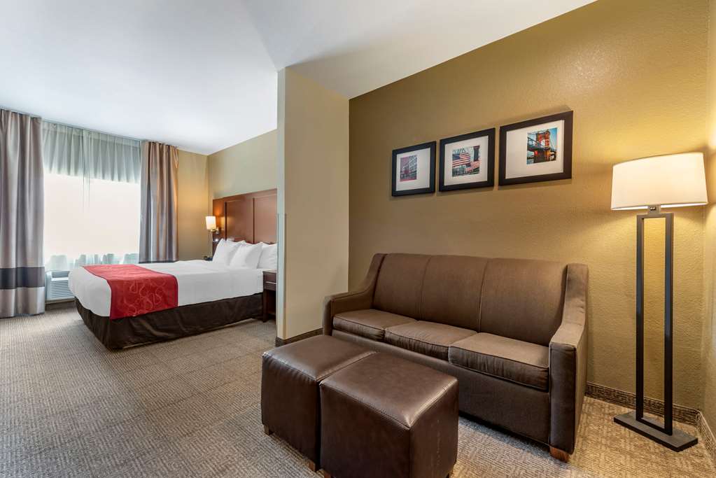 Comfort Suites Mason near Kings Island - photo 5