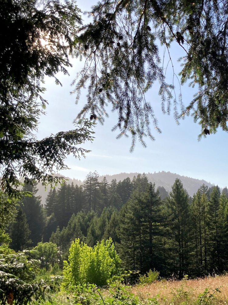 The Stavrand Russian River Valley - photo 44