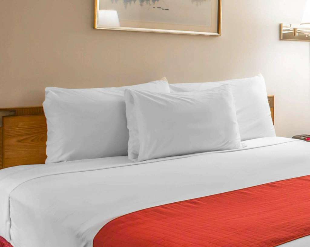Rodeway Inn Lake Placid South - photo 10