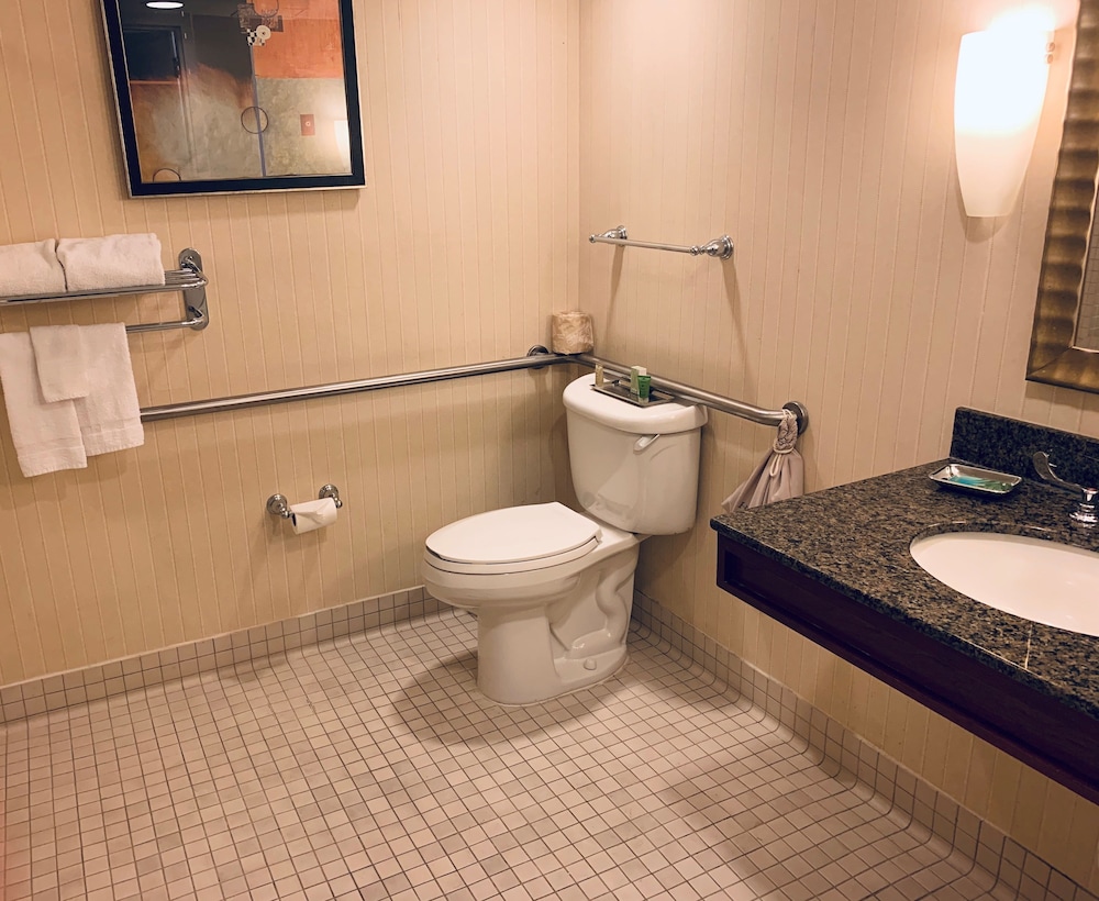 Ontario Airport Hotel & Conference Center - photo 19