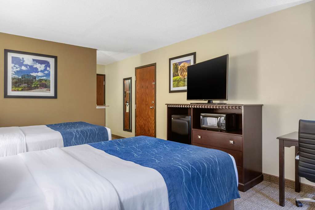 Comfort Inn Grand Rapids Airport - photo 19