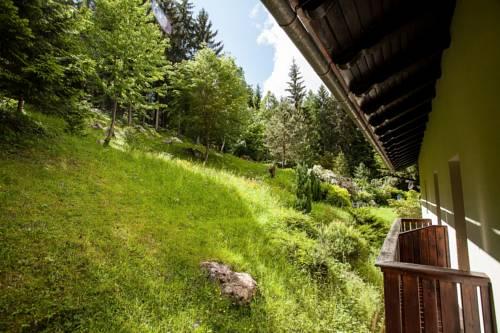 Waldhotel Bad Jungbrunn — Tristach — photo 3