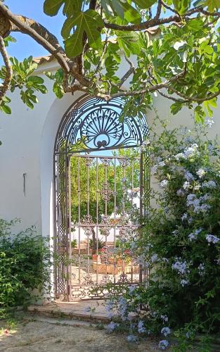 Finca Olivo Llorón — hotel in Montilla