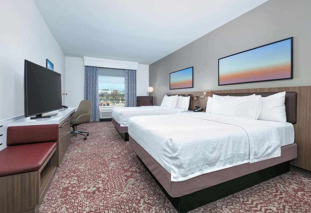 Hilton Garden Inn Dallas Arlington - photo 14