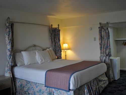 The Diplomat Family Motel - photo 22