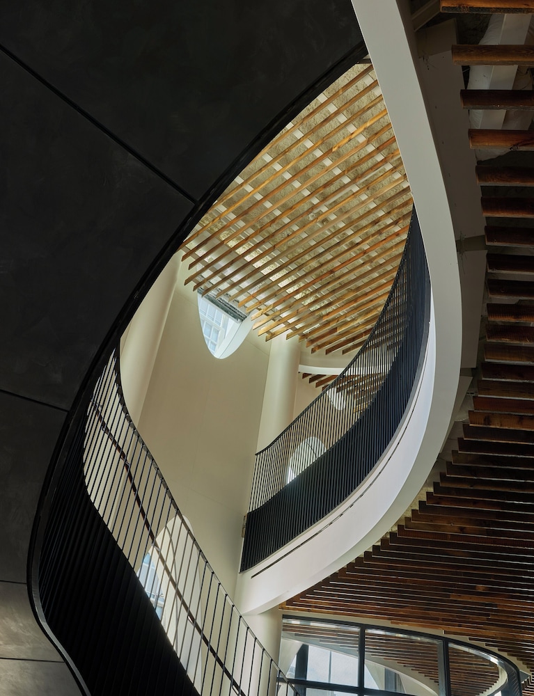 Populus - photo 8