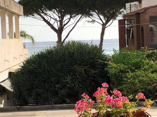 Near the beach — Palermo — photo 4