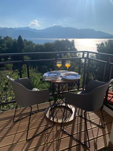 Vinogradi in Podgorica, Montenegro