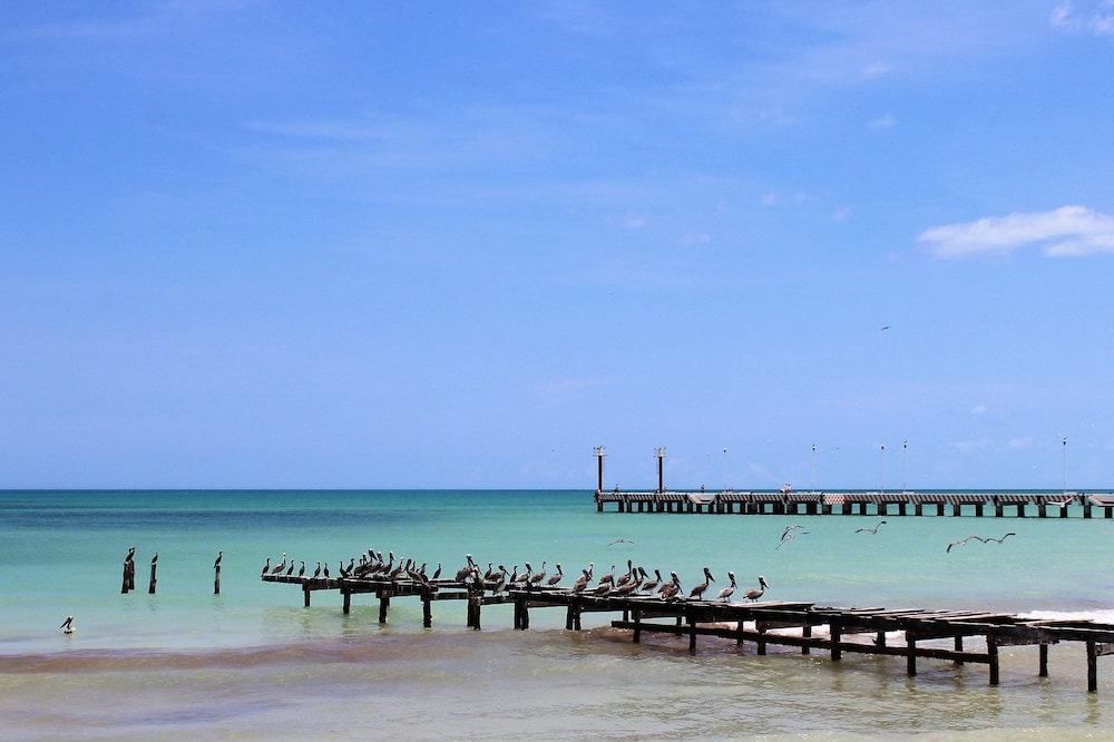 Dock