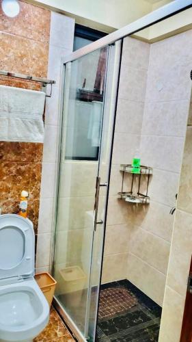 Luxury Living Two Bedroom Apartment With Swimming Pool Fully Furnished Gym Children Playing Ground Ample Parking Space And Unbeatable Scenic City Views