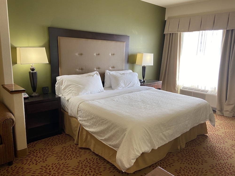 Holiday Inn Express & Suites Silt Rifle by IHG - photo 29