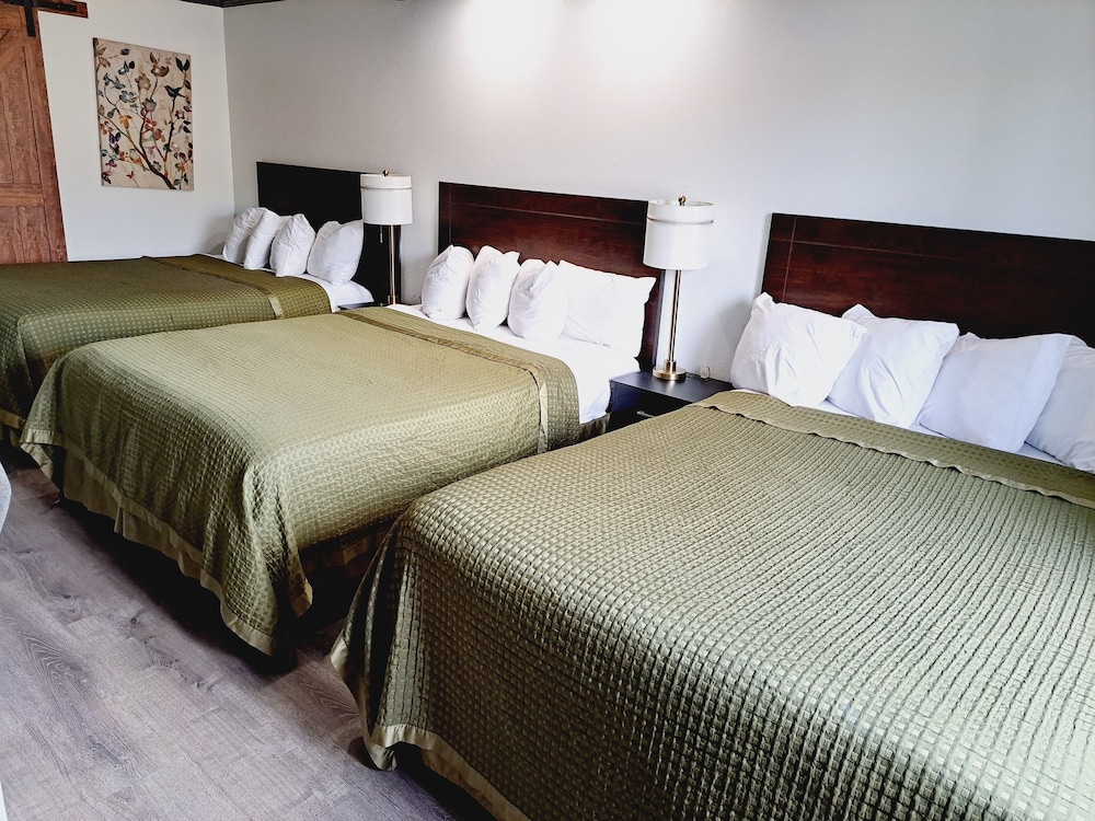 Dunes Motel - photo 9