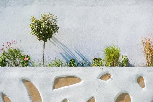 Acron Suites — Limenaria — photo 4