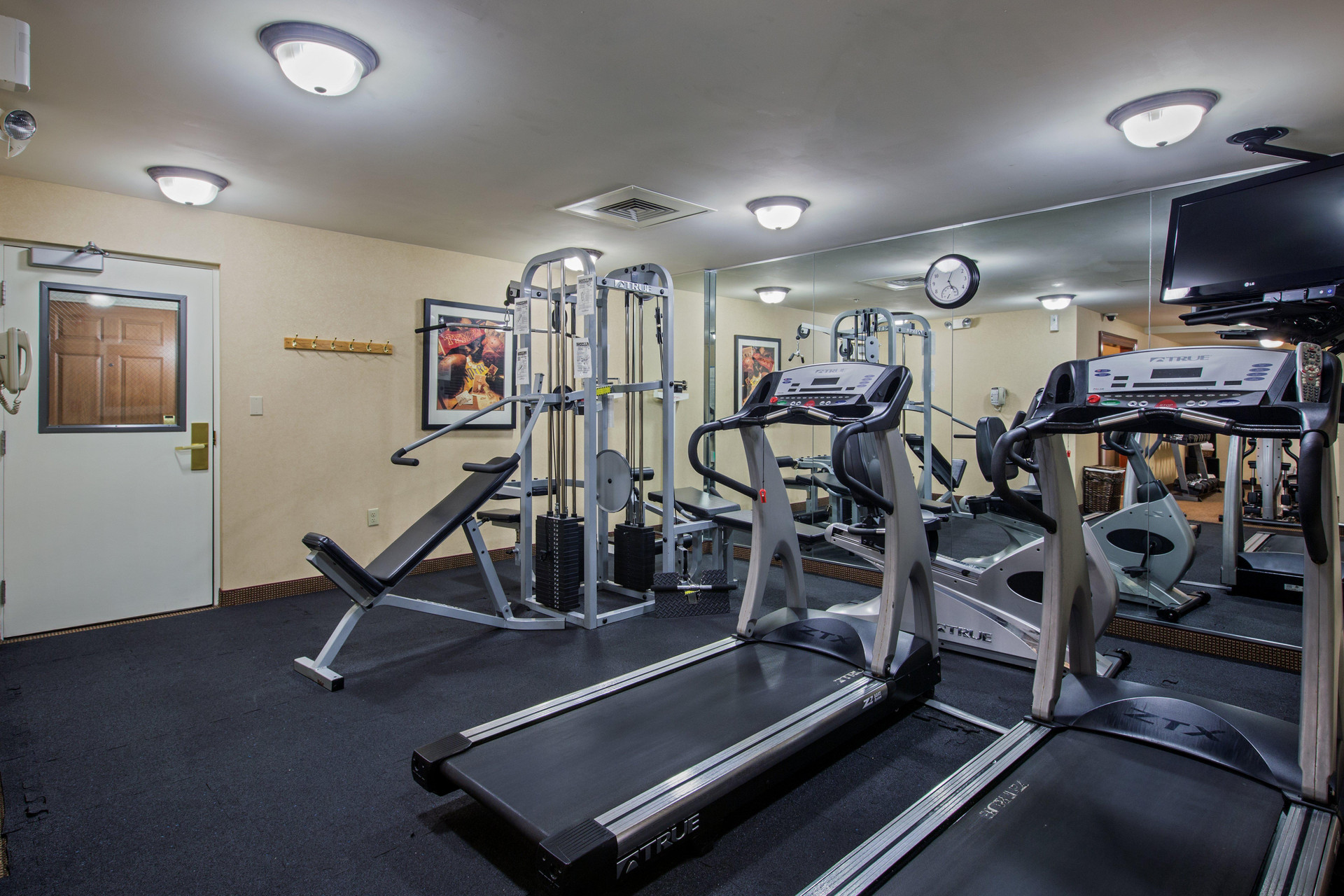 Staybridge Suites Wilmington Newark by IHG - photo 24