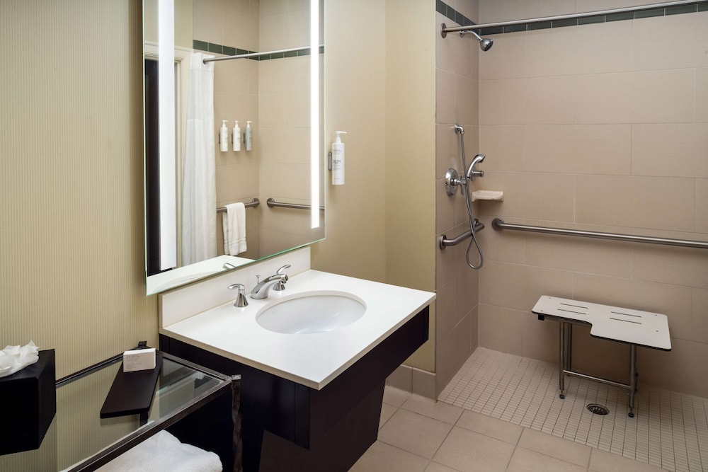 Embassy Suites by Hilton St. Louis Downtown - photo 30