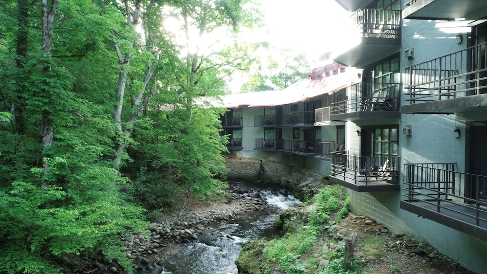 Bear Creek Inn - photo 50