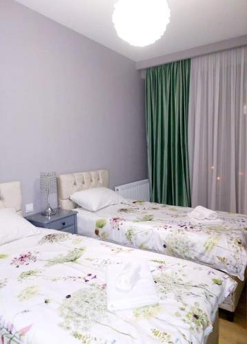 Luxury 2 BR Apartment in Isani