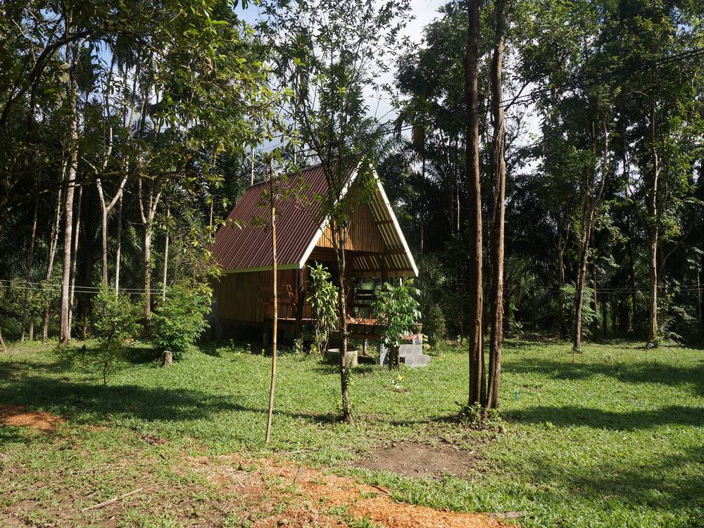 Khao Sok Jungle Resort in Phanom, Thailand