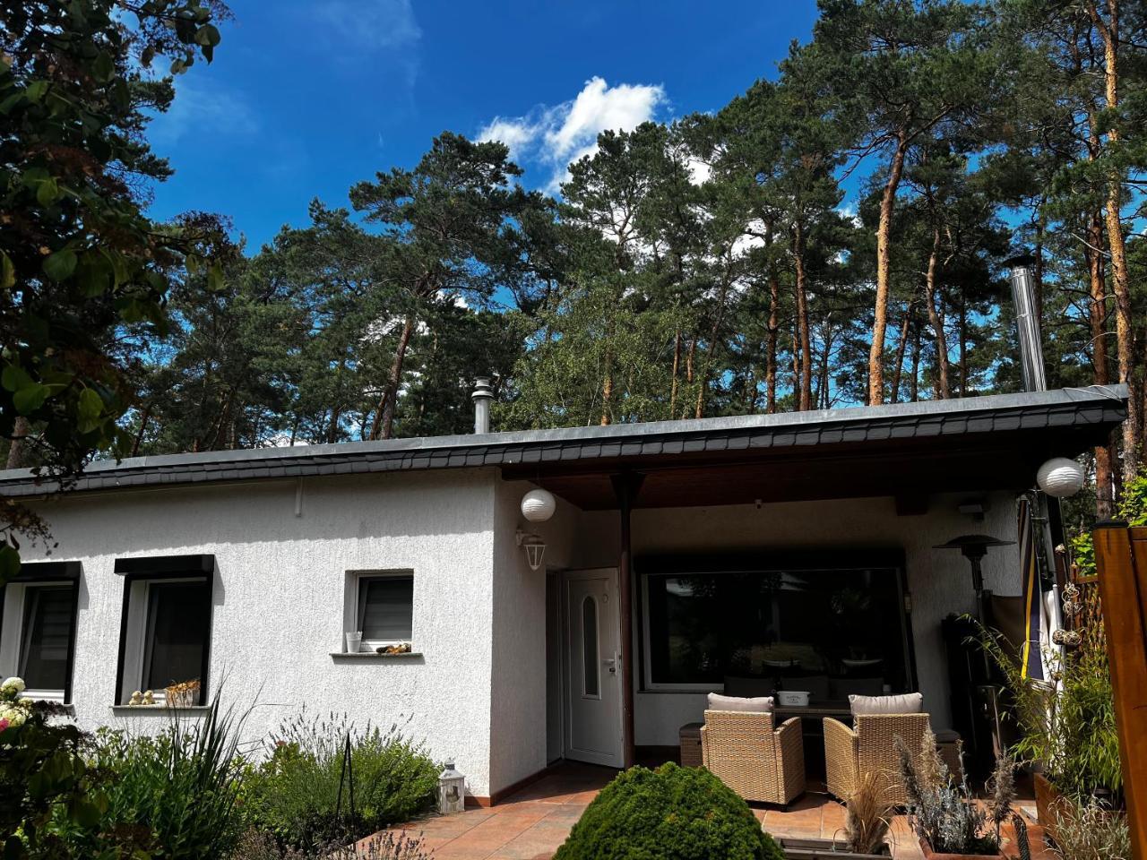 Kiefernblick - carbon neutral hotel in Ploetzky