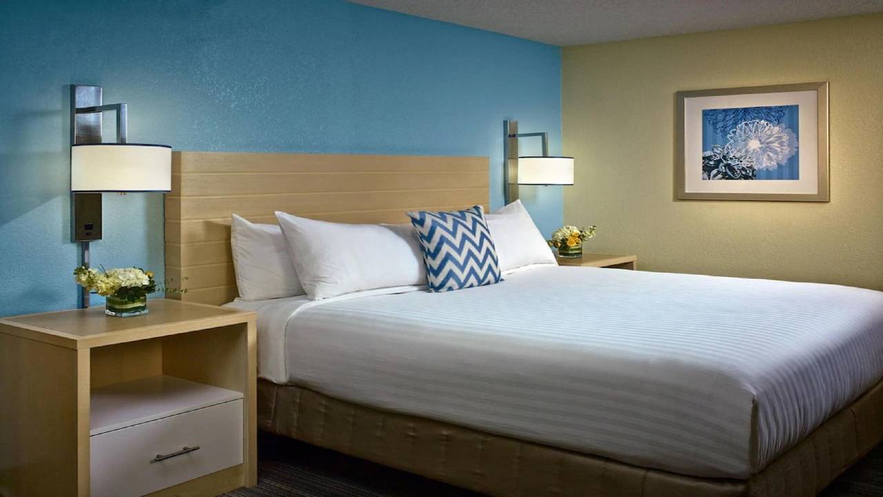 Staybridge Suites Burlington Boston - photo 4