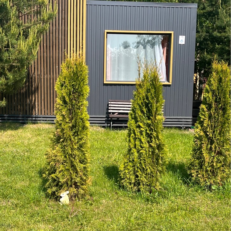 Gostevoy Dom u Zaliva in Vyborg, Russia