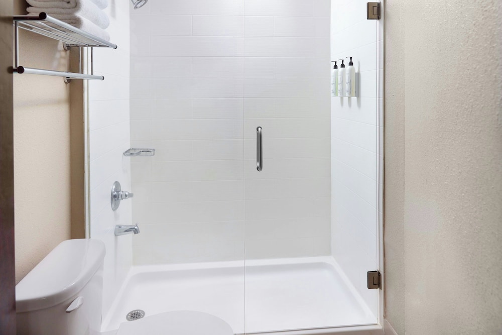Springhill Suites By Marriott Atlanta Six Flags - photo 15