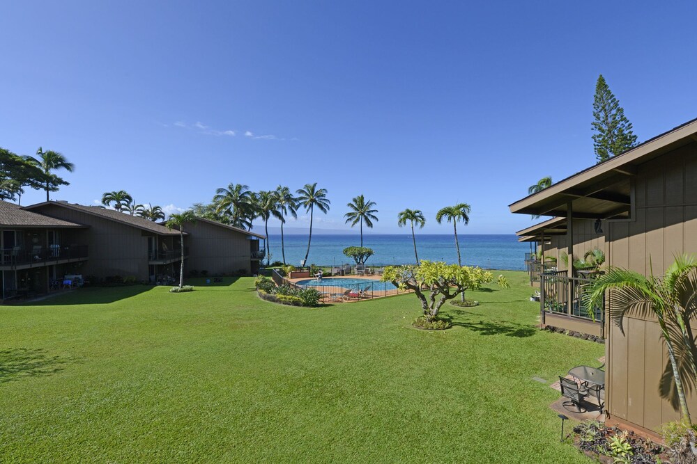 Polynesian Shores - photo 50