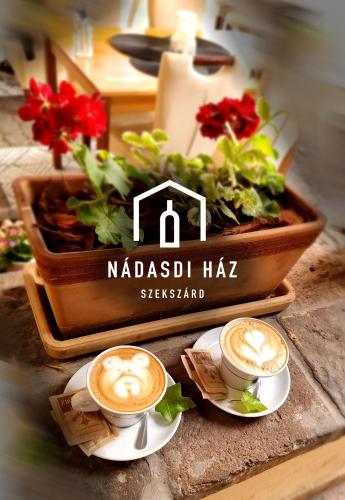 Nádasdi Ház — Szekszard — photo 4