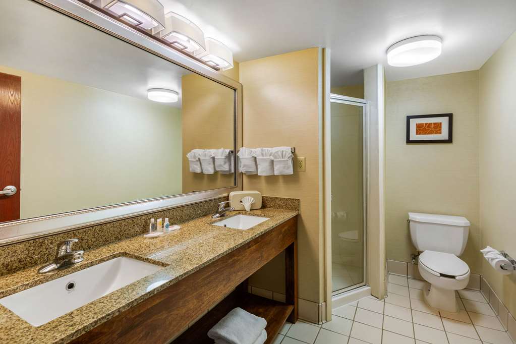 Comfort Suites Manassas Battlefield Park - photo 19
