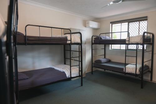 Maxmee Backpackers Resort — Gold Coast — photo 2