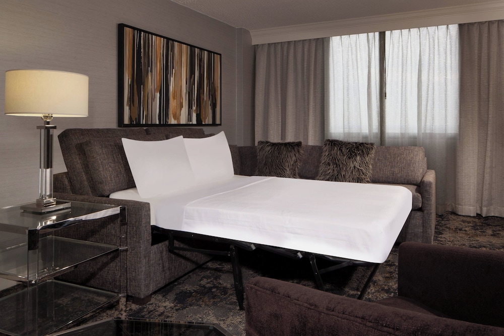 Dallas Fort Worth Airport Marriott - photo 7