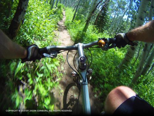 The Pines - photo 11