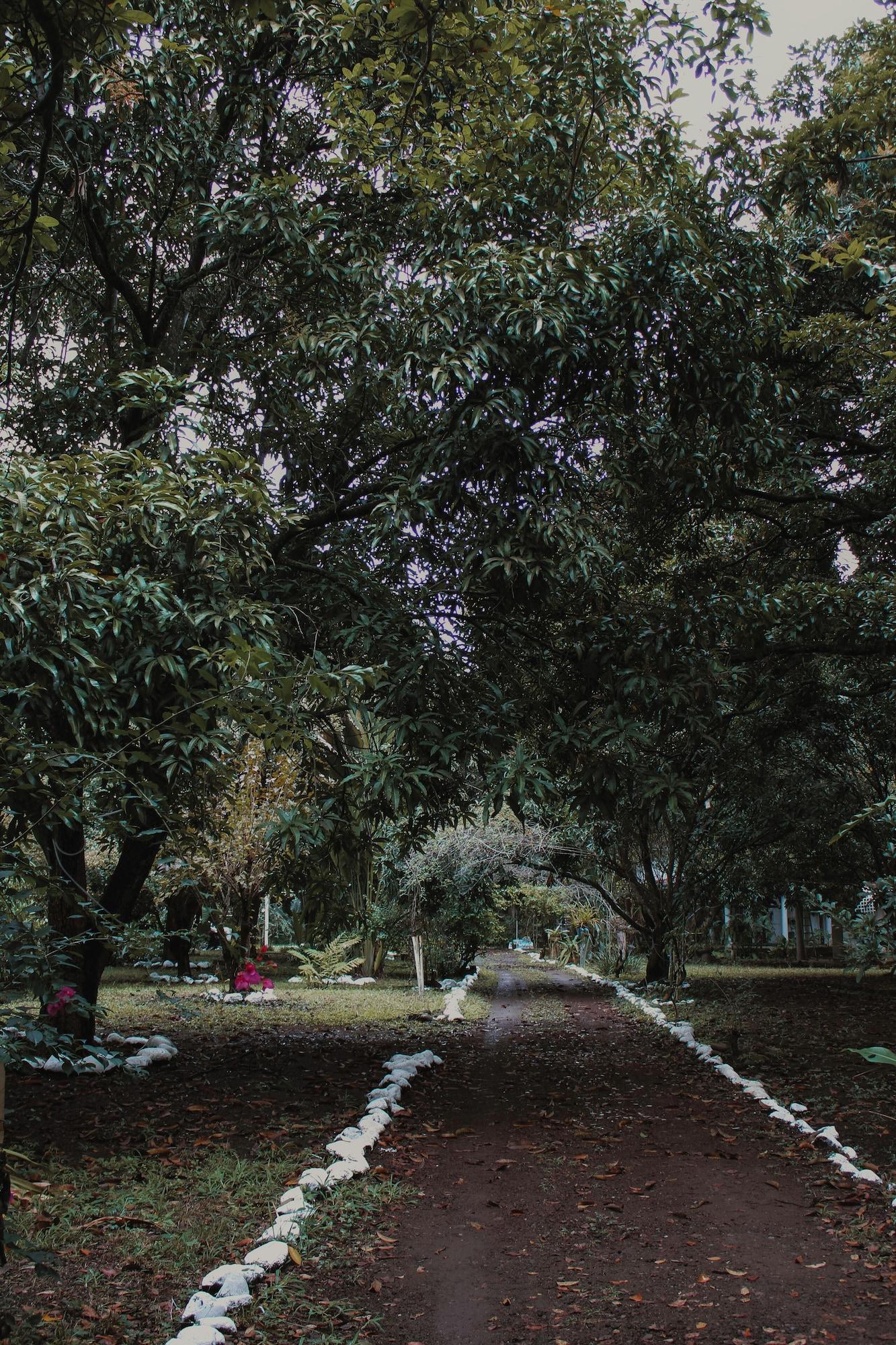 Mango Selva Bio Hotel — Actopan — photo 2