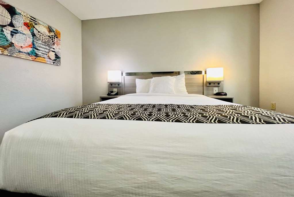 Microtel Inn by Wyndham Georgetown - photo 23