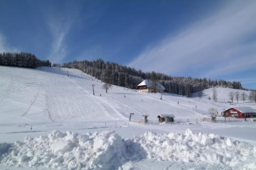 IB Skiinternat Furtwangen — hotel in Furtwangen