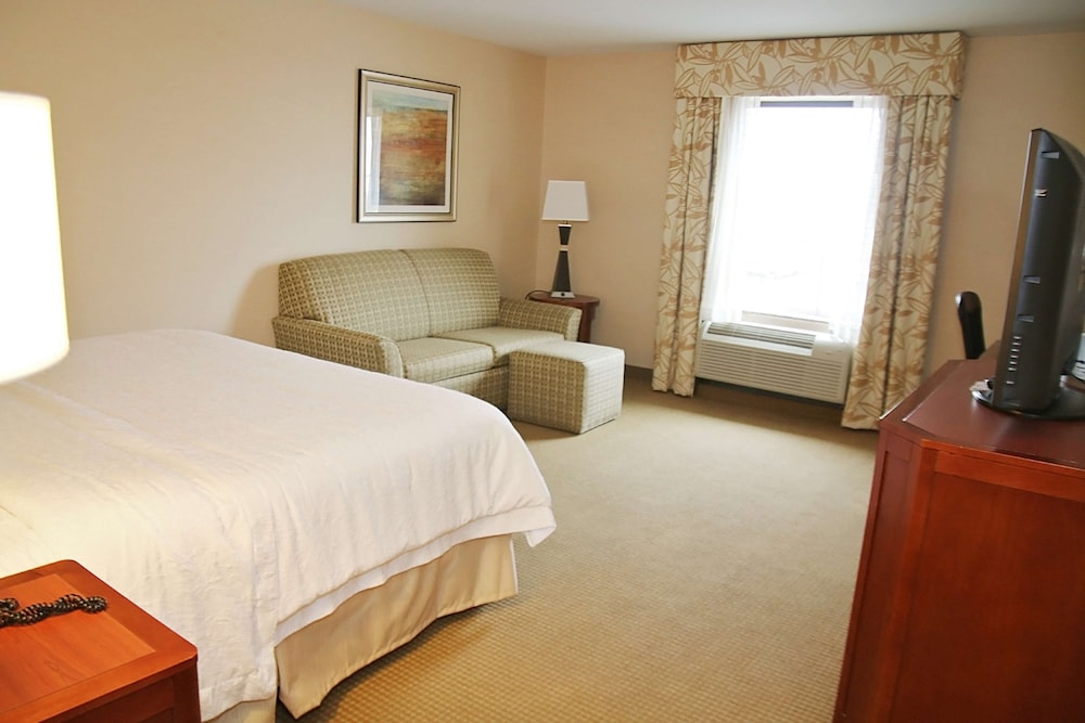 Hampton Inn Detroit Auburn Hills North - photo 13