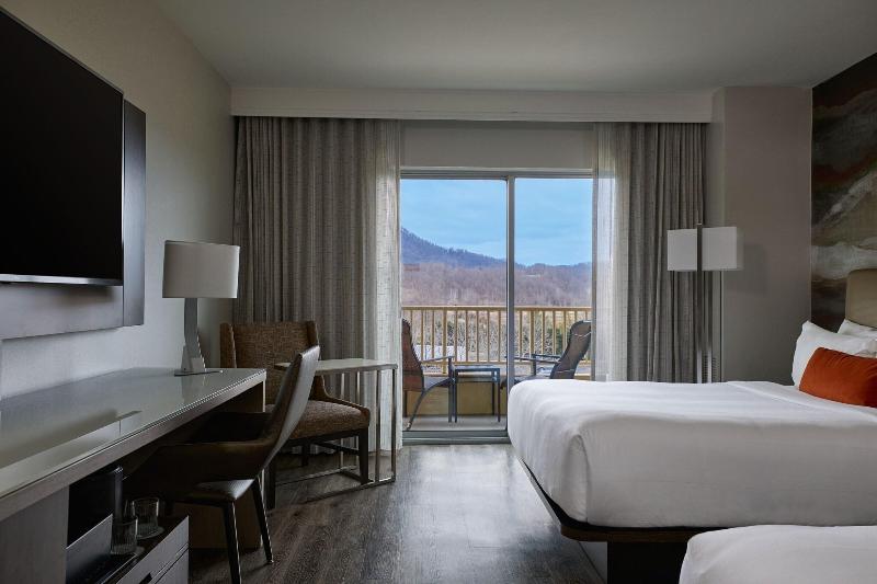 MeadowView Conference Resort & Convention Center - photo 42