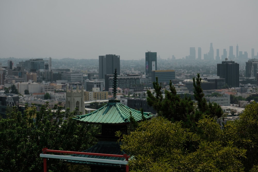 Hollywood Hills Hotel - photo 40