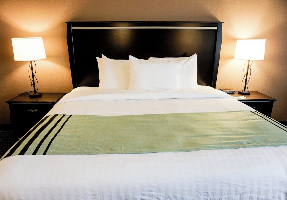 Boarders Inn & Suites by Cobblestone Hotels Grand Island - photo 12