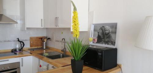 Amarillo Sun in Corralejo, Spain