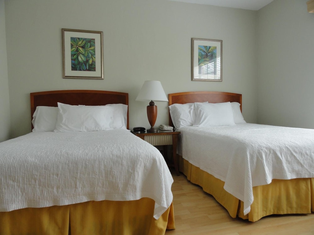 Viscay Hotel - photo 8