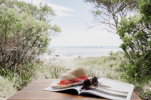 The Leaning Tree in Rosebud, Australia