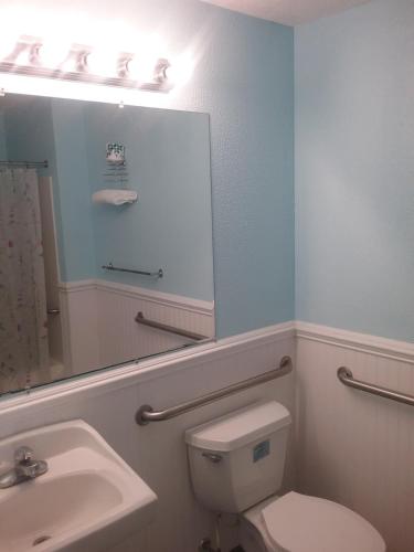 Apollo Resort Motel - photo 49
