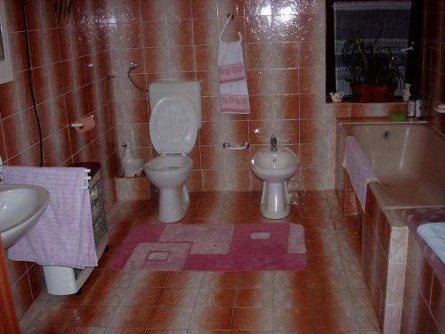 Rooms with a parking space Knezevi Vinogradi Baranja 15024 — hotel in Knezevi Vinogradi