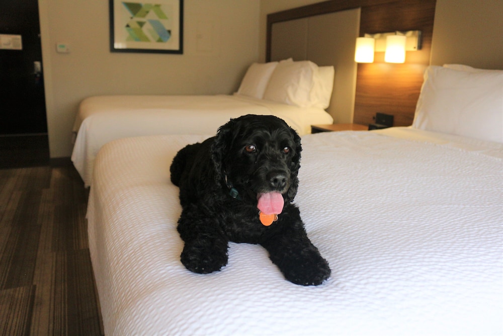 Holiday Inn Express & Suites Albuquerque Historic Old Town by IHG - photo 61